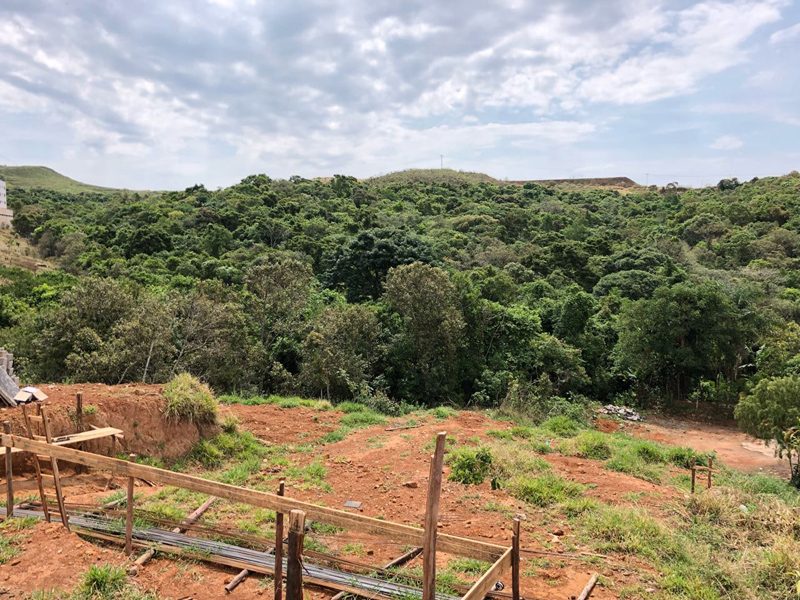 Bosque das [Aguas (4)